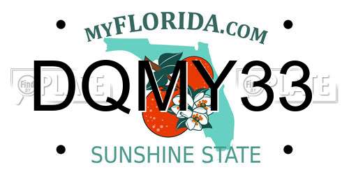 DQMY33 Florida License Plate