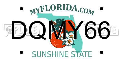 DQMY66 Florida License Plate