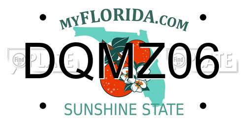 DQMZ06 Florida License Plate