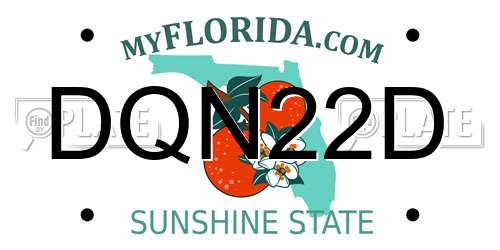 DQN22D Florida License Plate
