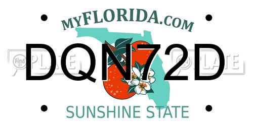 DQN72D Florida License Plate