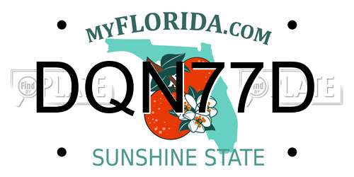 DQN77D Florida License Plate