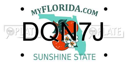 DQN7J Florida License Plate