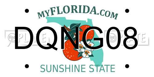 DQNG08 Florida License Plate