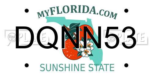 DQNN53 Florida License Plate