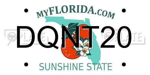 DQNT20 Florida License Plate