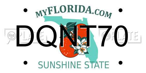 DQNT70 Florida License Plate