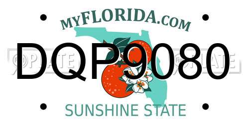 DQP9080 Florida License Plate