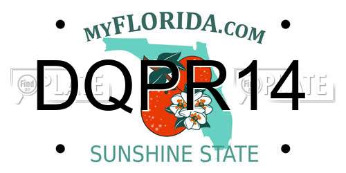 DQPR14 Florida License Plate