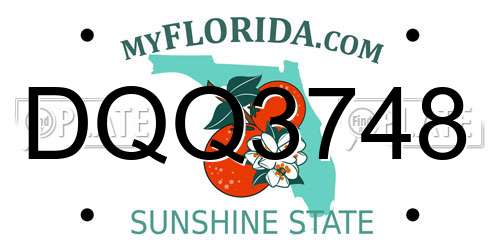 DQQ3748 Florida License Plate