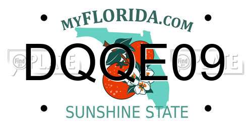 DQQE09 Florida License Plate