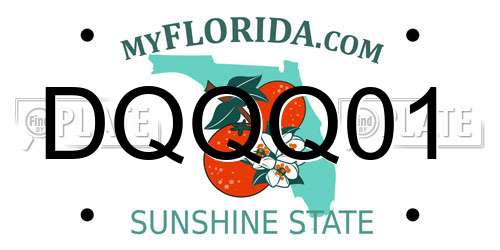 DQQQ01 Florida License Plate