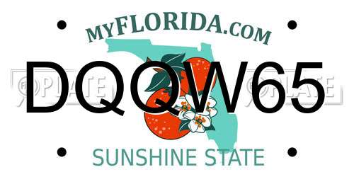 DQQW65 Florida License Plate