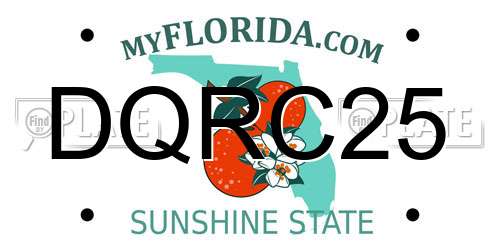 DQRC25 Florida License Plate