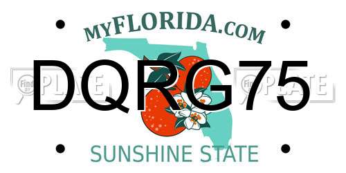 DQRG75 Florida License Plate
