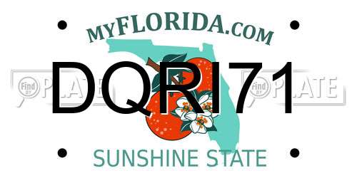 DQRI71 Florida License Plate