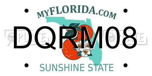 DQRM08 Florida License Plate