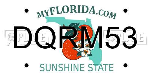 DQRM53 Florida License Plate