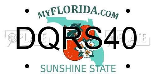 DQRS40 Florida License Plate