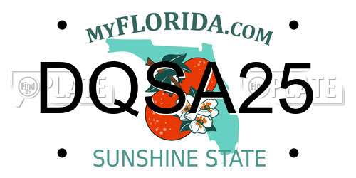 DQSA25 Florida License Plate