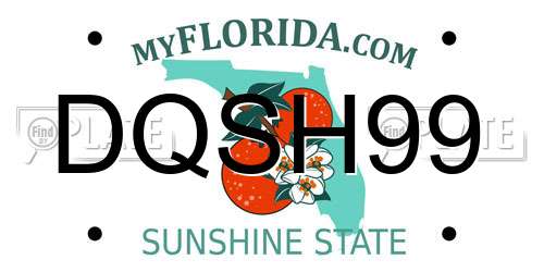 DQSH99 Florida License Plate