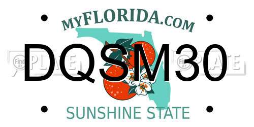 DQSM30 Florida License Plate