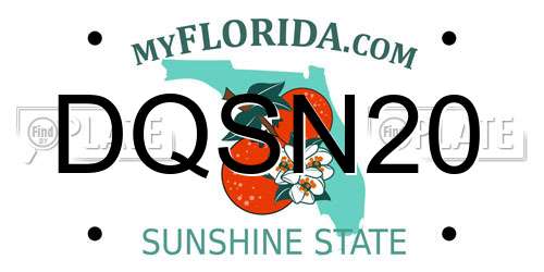 DQSN20 Florida License Plate