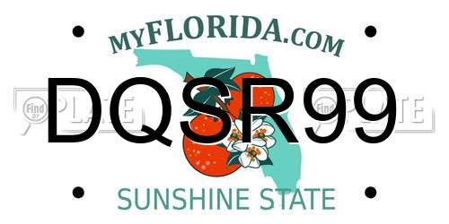 DQSR99 Florida License Plate