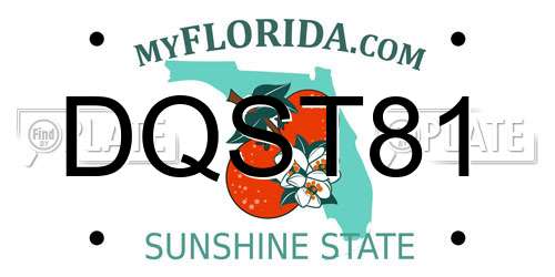 DQST81 Florida License Plate