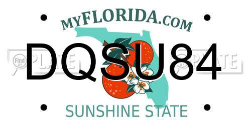 DQSU84 Florida License Plate