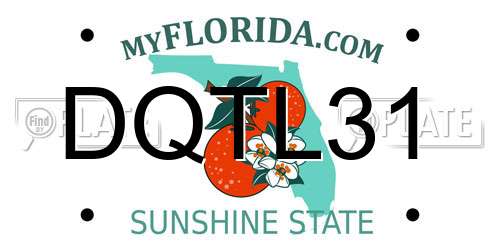 DQTL31 Florida License Plate