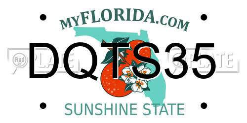 DQTS35 Florida License Plate
