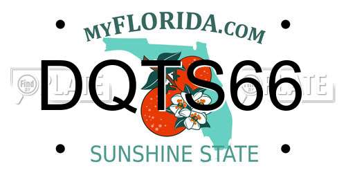 DQTS66 Florida License Plate