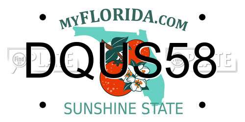 DQUS58 Florida License Plate