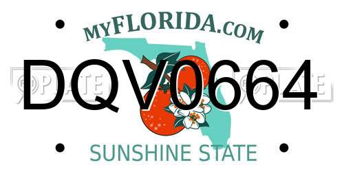DQV0664 Florida License Plate