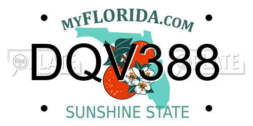 DQV388 Florida License Plate