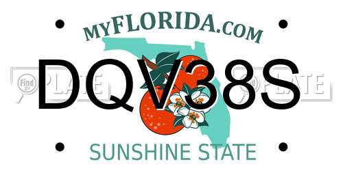 DQV38S Florida License Plate