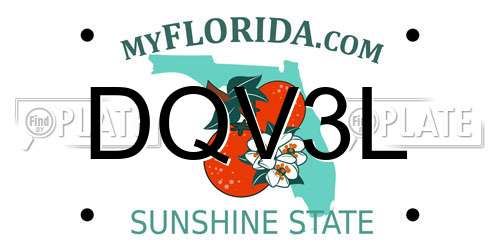 DQV3L Florida License Plate