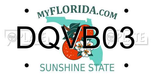 DQVB03 Florida License Plate