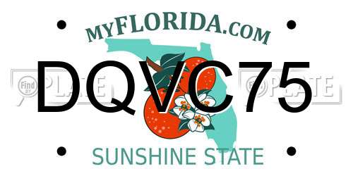 DQVC75 Florida License Plate