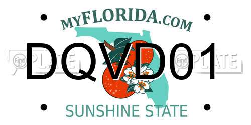DQVD01 Florida License Plate