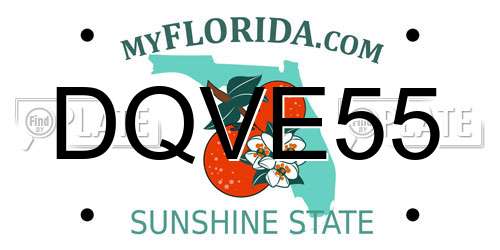 DQVE55 Florida License Plate