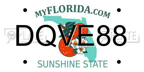 DQVE88 Florida License Plate