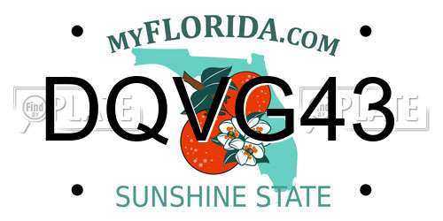 DQVG43 Florida License Plate