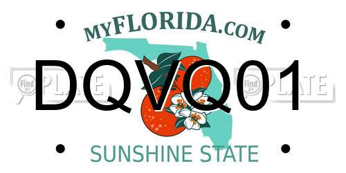 DQVQ01 Florida License Plate