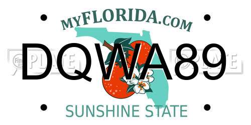 DQWA89 Florida License Plate