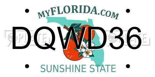 DQWD36 Florida License Plate