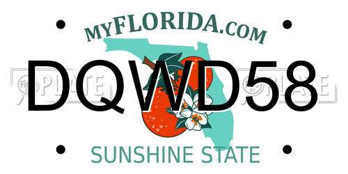 DQWD58 Florida License Plate