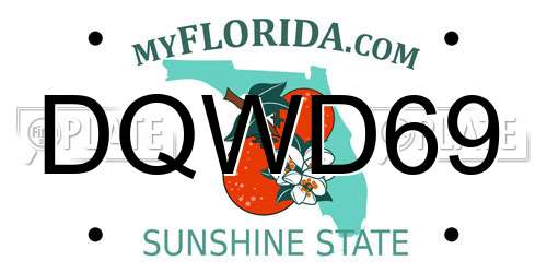 DQWD69 Florida License Plate