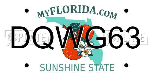 DQWG63 Florida License Plate